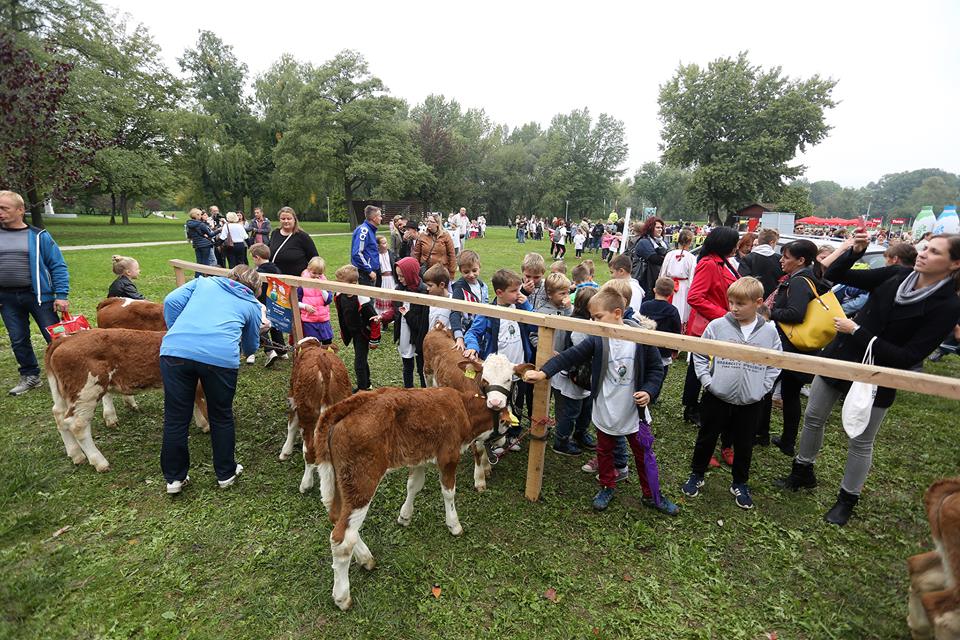 Borna Filić/Pixsell