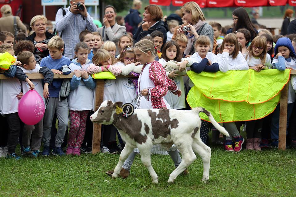 Borna Filić/Pixsell