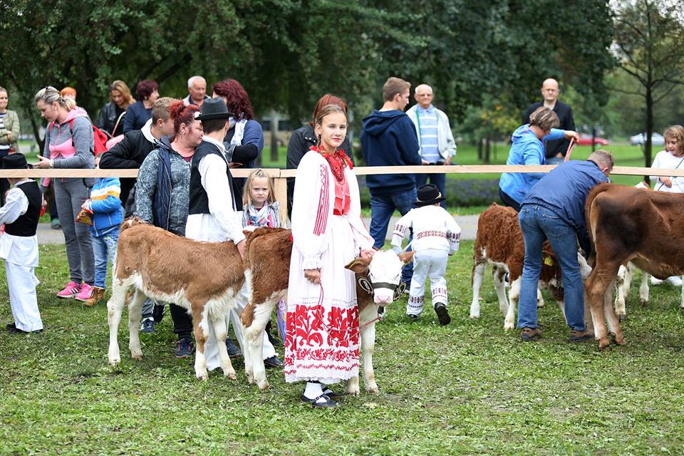 Borna Filić/Pixsell