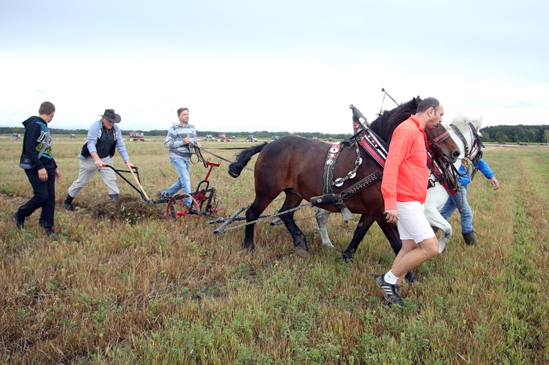 Goran Stanzl/PIXSELL