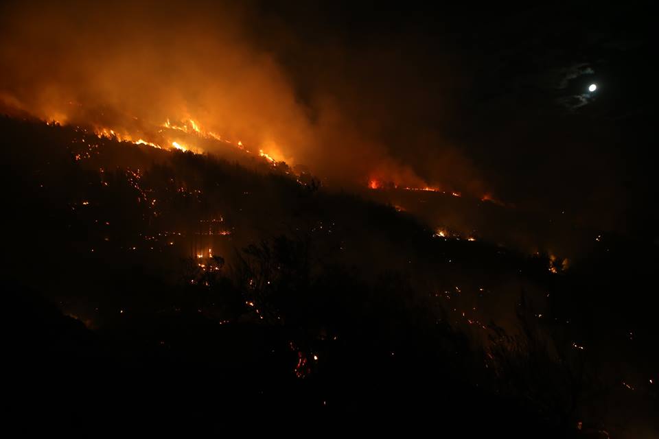 Vatrene fronte prijete Ateni, gori jug Italije, Kalifornijom hara treći najveći požar
