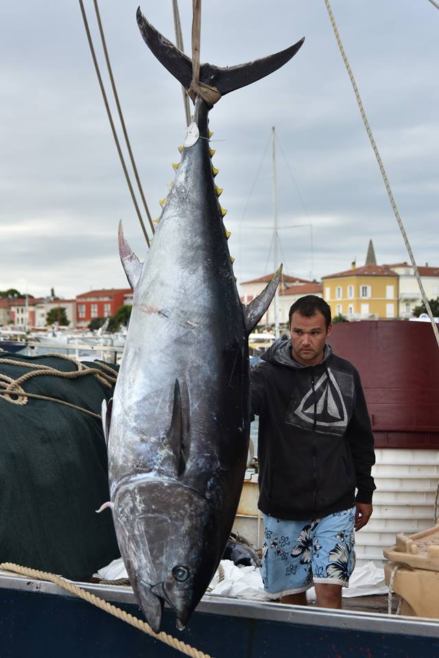 Duško Marušić/Pixsell