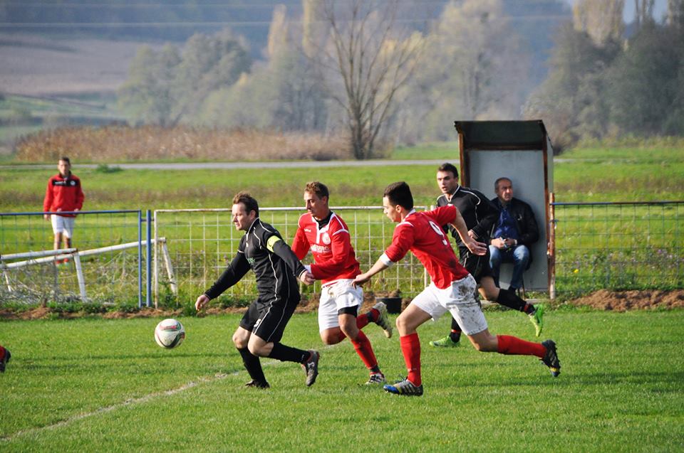 mokrice11
