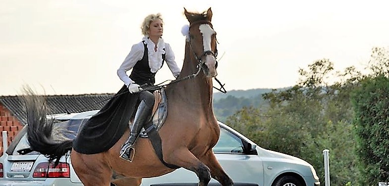 ONA JE ROMANA Sjajna žena, ljubiteljica konja i šefica Konjičkog kluba Furioso