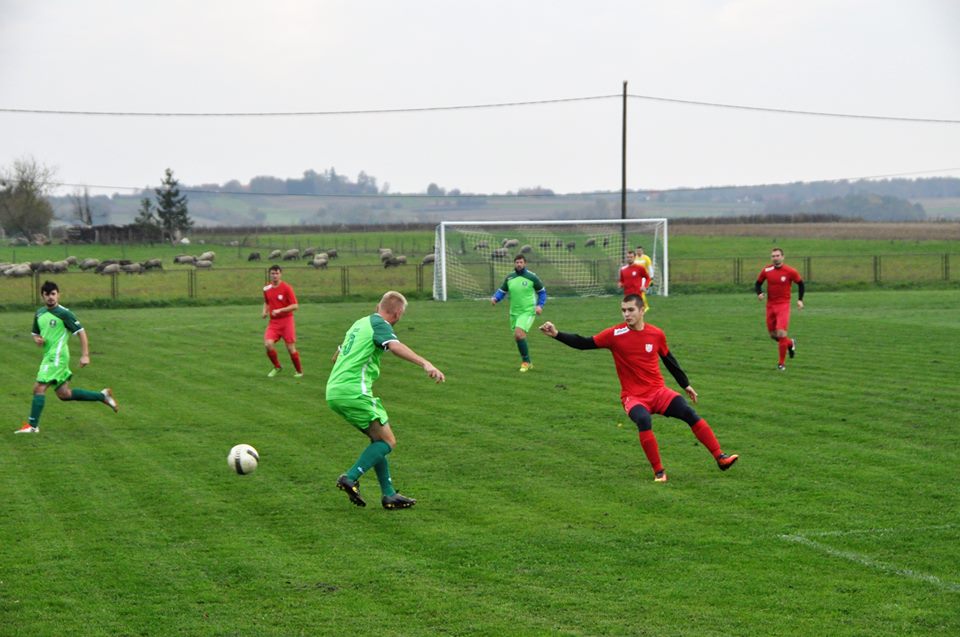 zabnica10