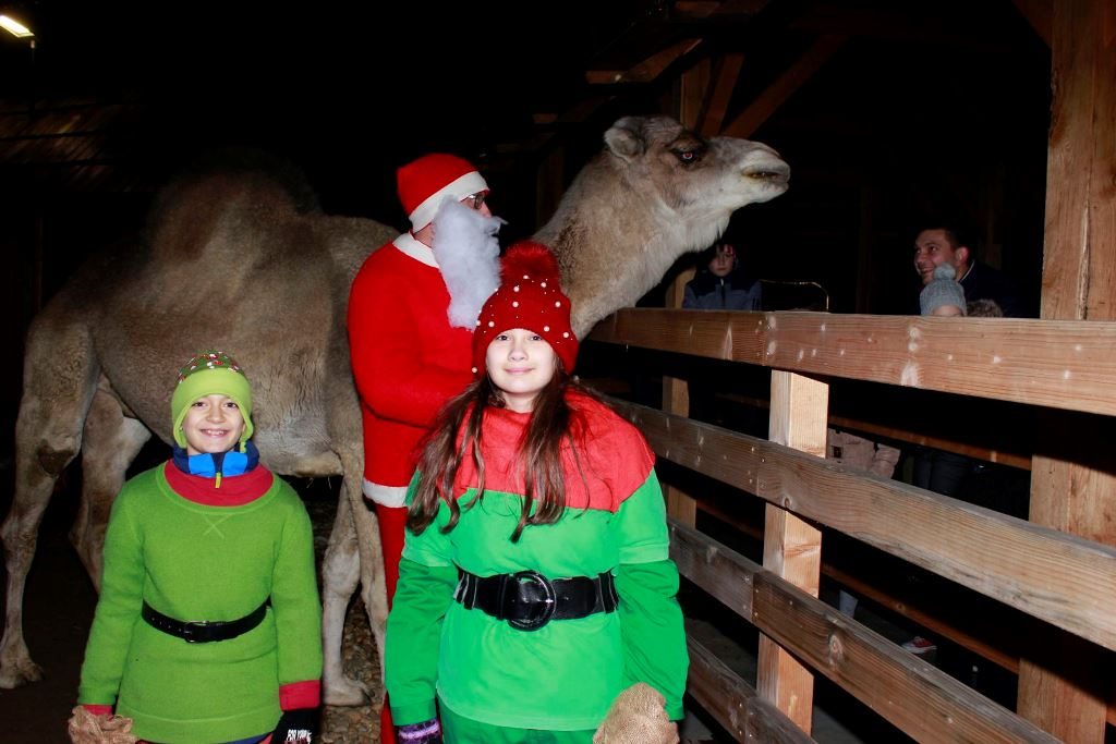 I deve u Hrvatskoj sahari posjetio Djed Božićnjak