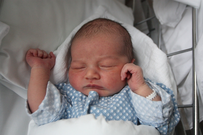 Fran Ćisar // Foto: Glas Podravine i Prigorja