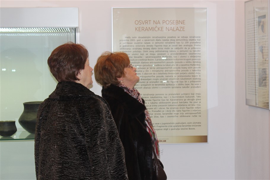 izlozba o brezovljanim u amz005