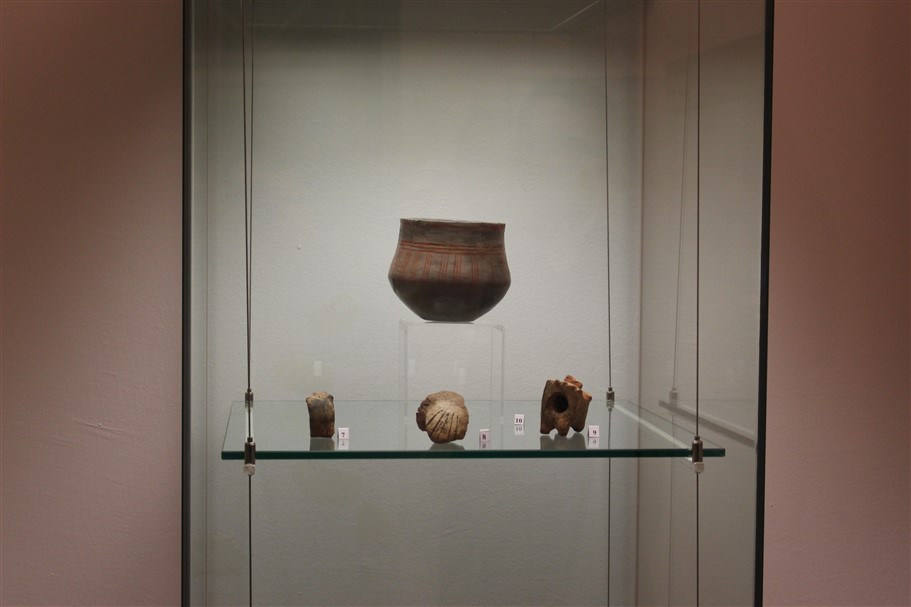 izlozba o brezovljanim u amz007