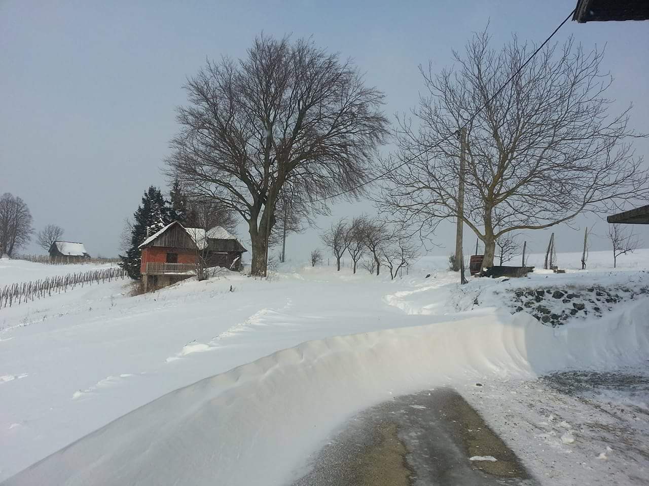 snijezne radosti (3)