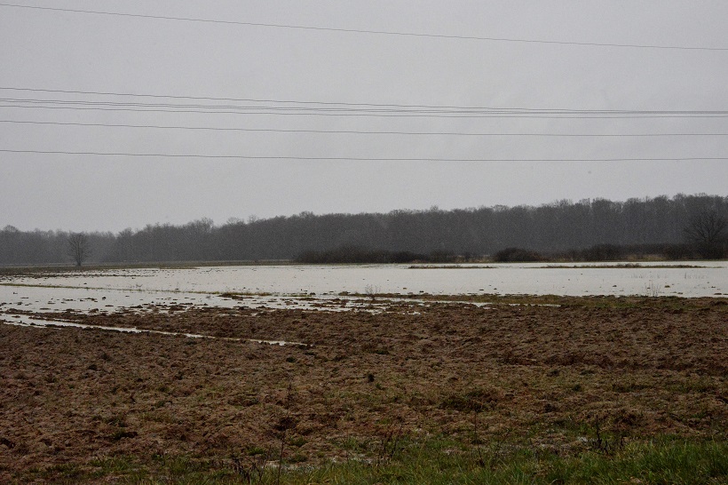 Polje između Križevaca i Vrbovca