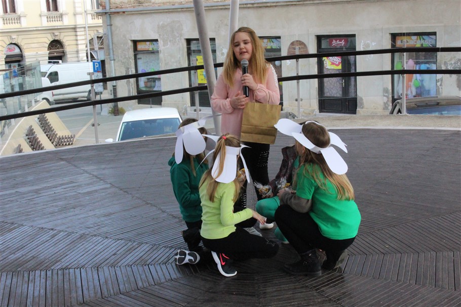 dan narcisa u krizevcima107