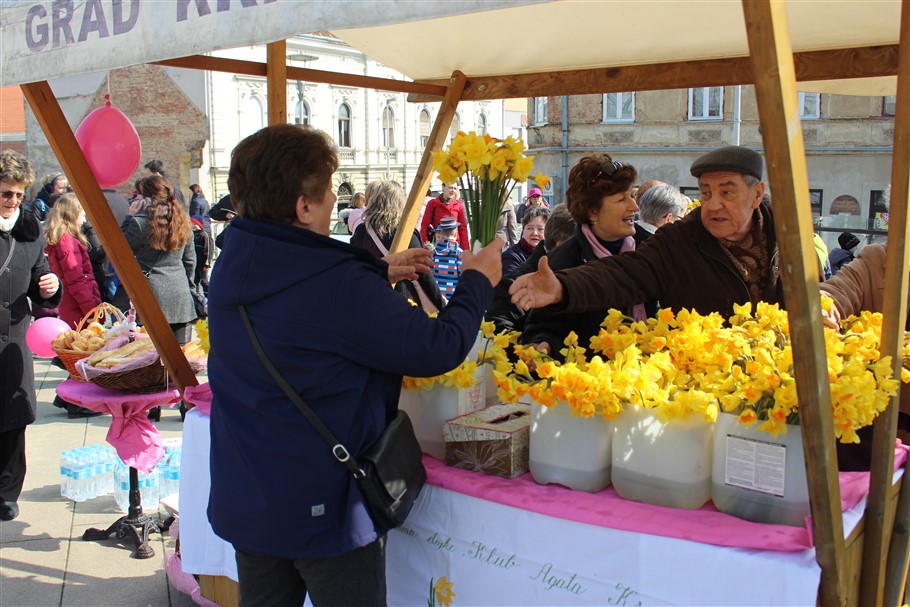 dan narcisa u krizevcima19