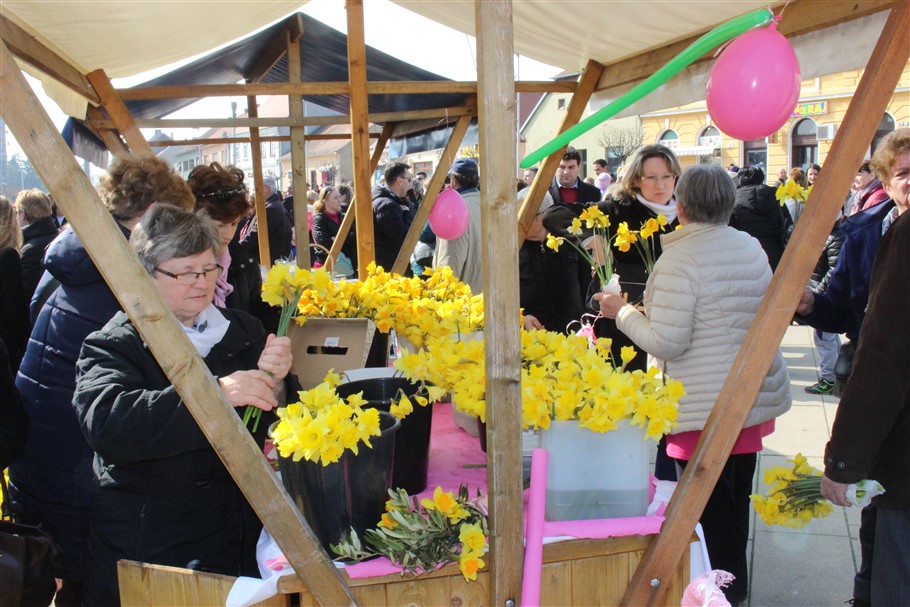 dan narcisa u krizevcima22