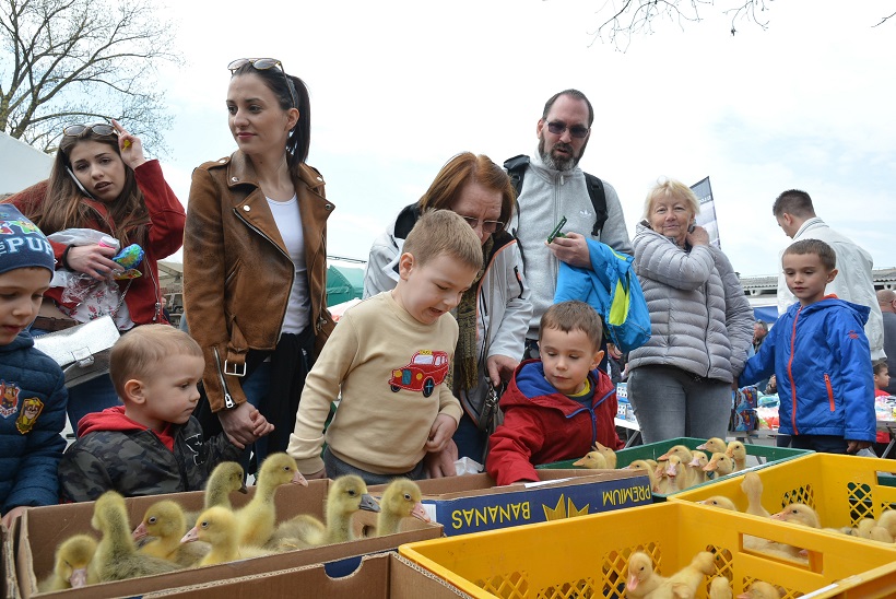 Damir Špehar/Pixsell