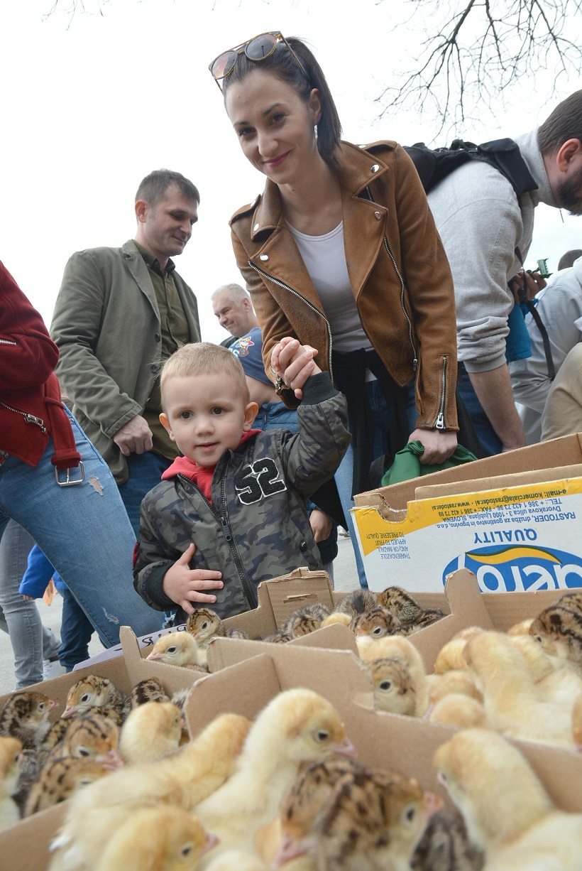 Damir Špehar/Pixsell