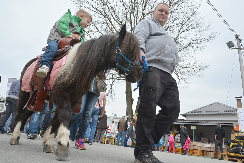 Damir Špehar/Pixsell