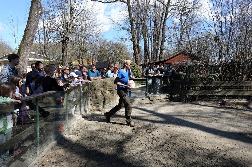 Dalibor Urukalović/Pixsell