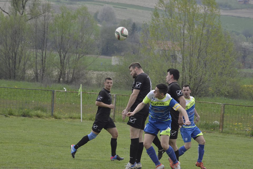 mokrice11