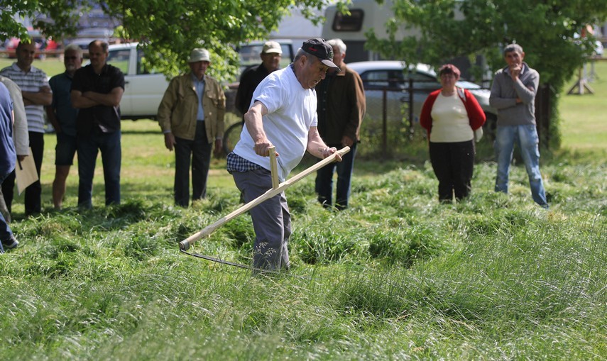 Dani-Travnjaka-nedjelja-1