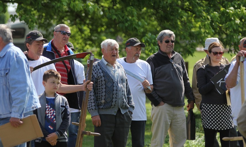 Dani-Travnjaka-nedjelja-22