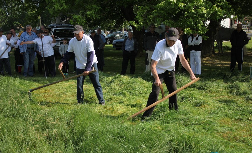 Dani-Travnjaka-nedjelja-3