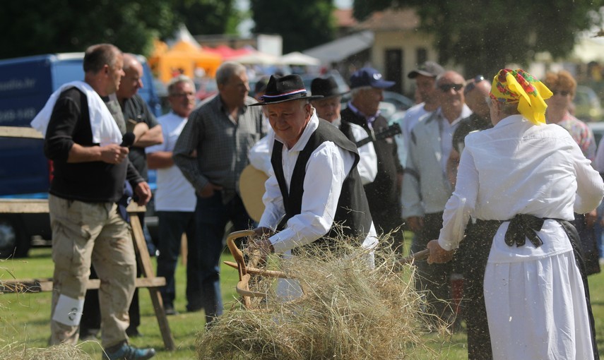 Dani-Travnjaka-nedjelja-54