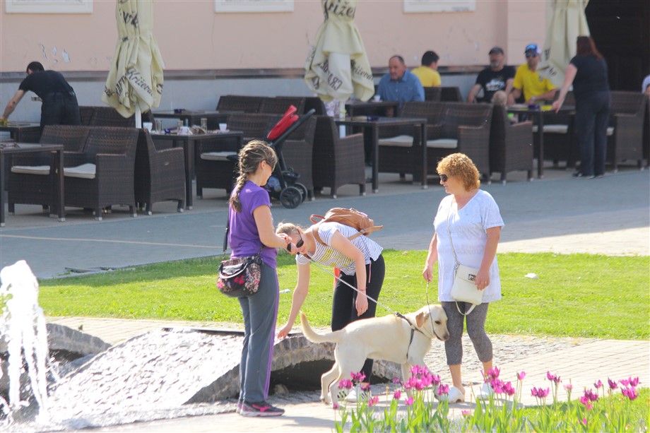 Deveti polumaraton krizevci-kalnik08