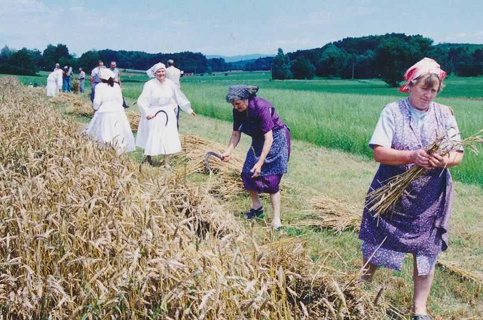 Sa snimanja seoskih radova na tradicionalan način