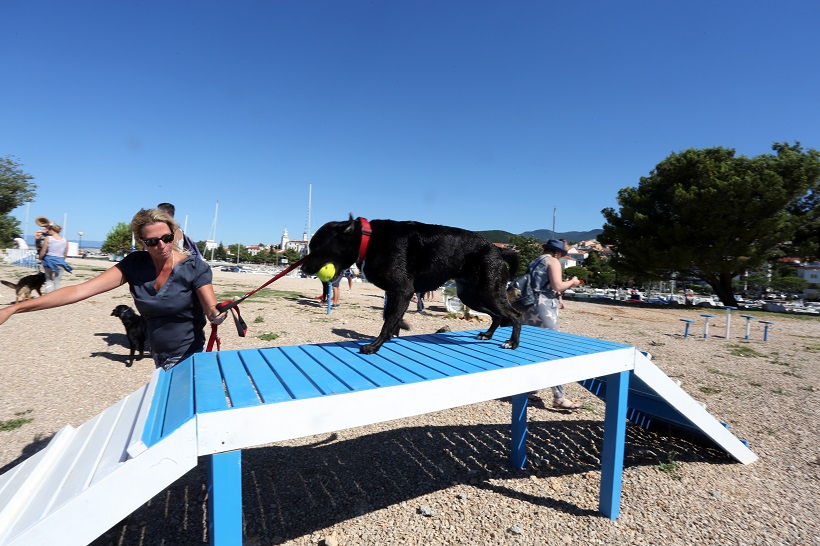 VIDEO Otvoren agility park za pse na psećoj plaži