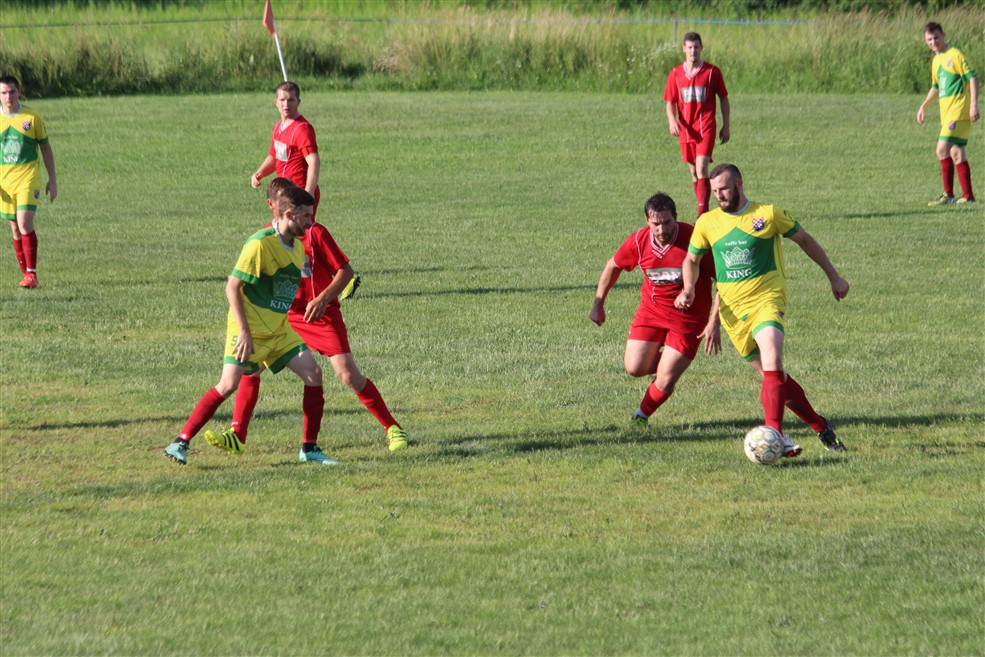 prigorje cvrstec10