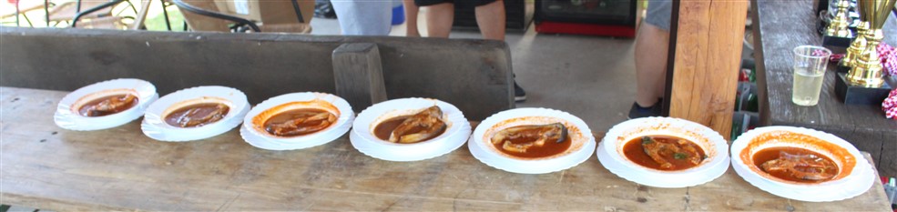 fisijada u farkasevcu52