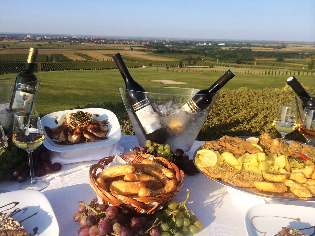 eno gastro ponuda ilocka berba grozdja