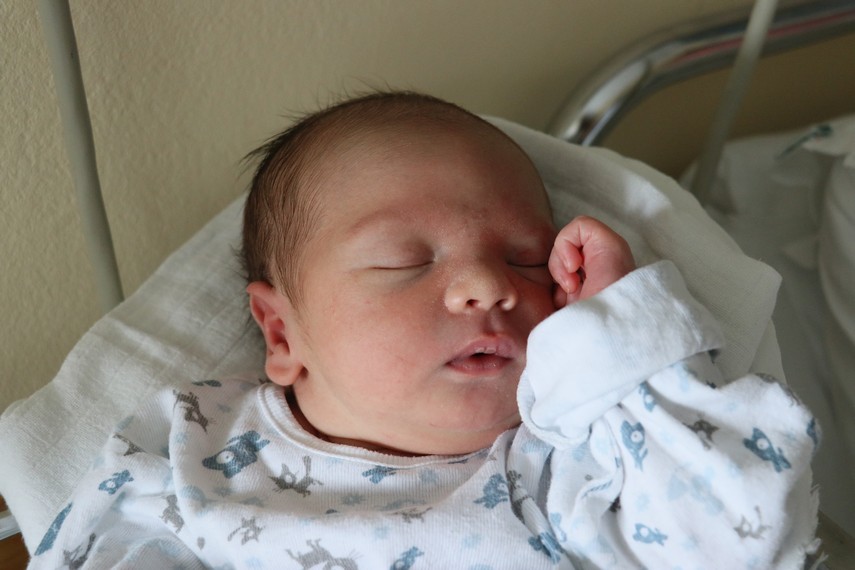 Vigo Ivan Novosel