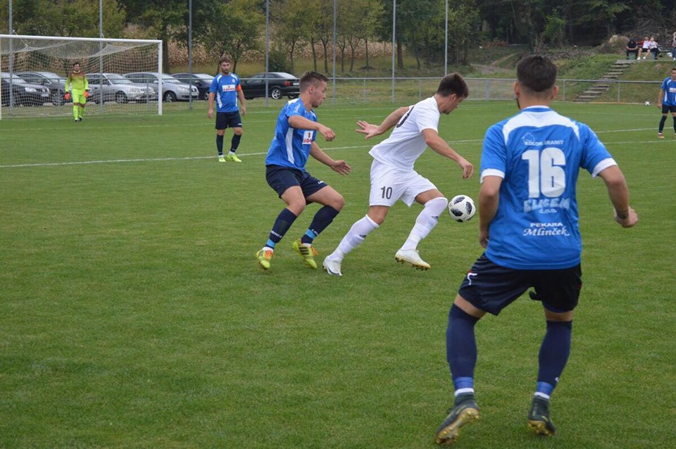 cvetkovec6