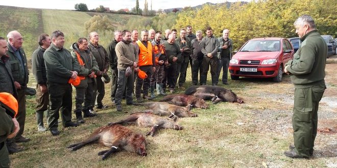 Ministarstvo poljoprivrede naredilo dodatni obvezni odstrel crne divljači // Lovci LD Sveti Hubert uspješni