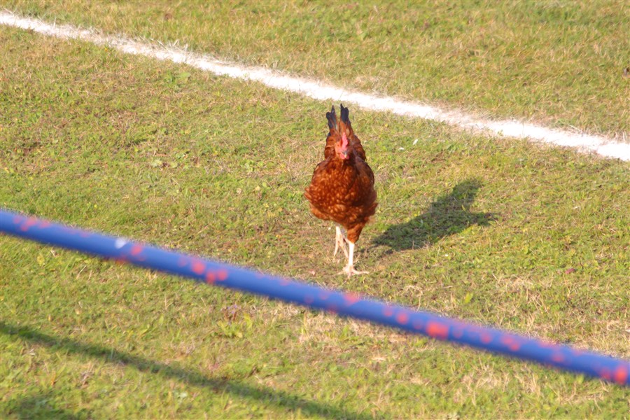 nogomet prigorje radnicki19