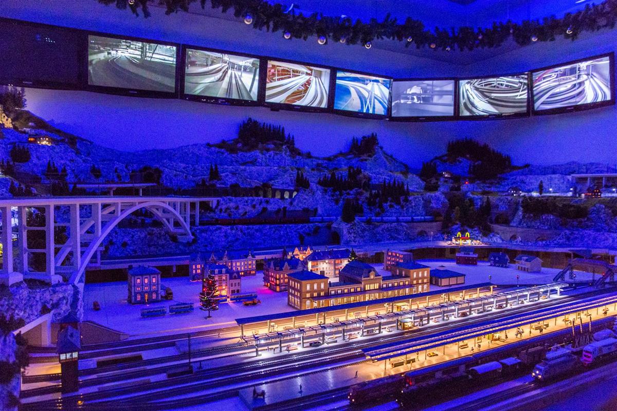 IMG_7724 (Large) (Copy)