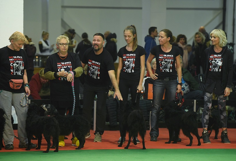 Zagreb: Završni defile hrvatskih ovčara u sklopu CACIB-a