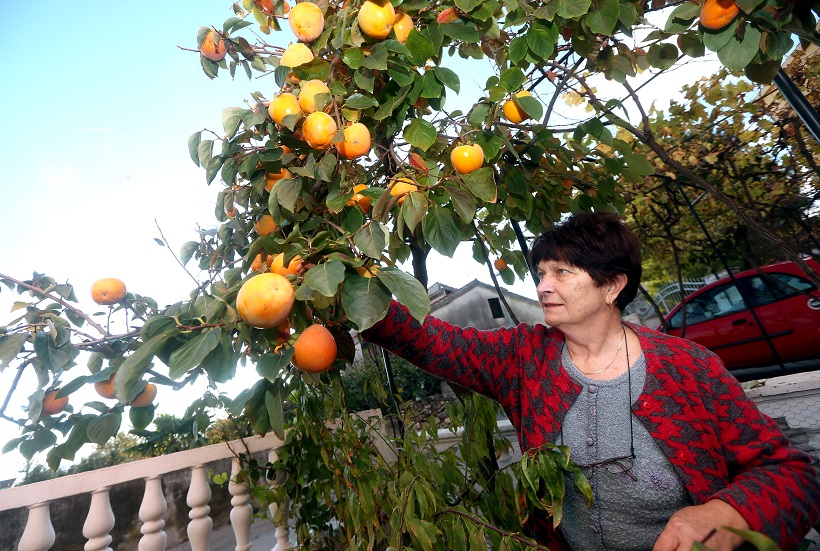 Duško Jaramaz/PIXSELL