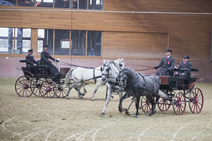 Davor Javorović/PIXSELL