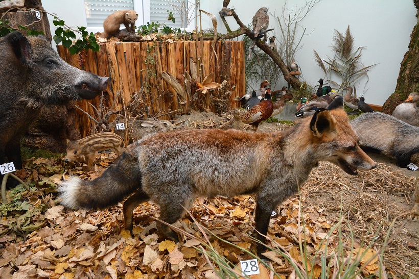 Ivica Galović/PIXSELL