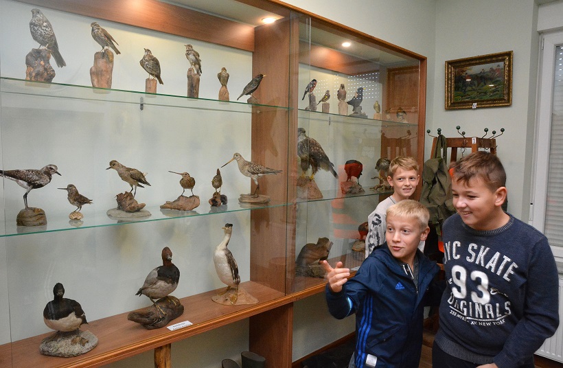 Ivica Galović/PIXSELL