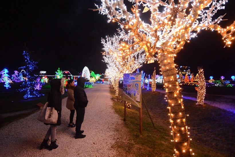 Damir Špehar/PIXSELL