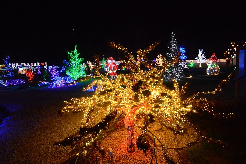 Damir Špehar/PIXSELL