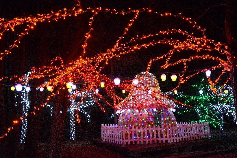 Damir Špehar/PIXSELL