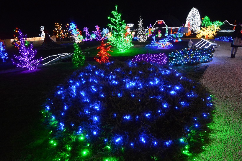 Damir Špehar/PIXSELL