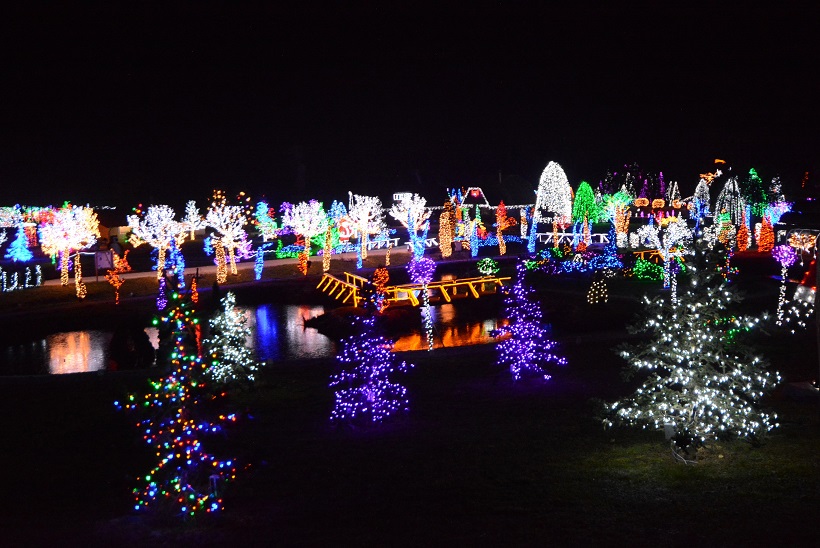 Damir Špehar/PIXSELL