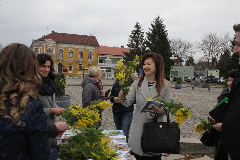 Dan mimoza, Đurđevac (10)