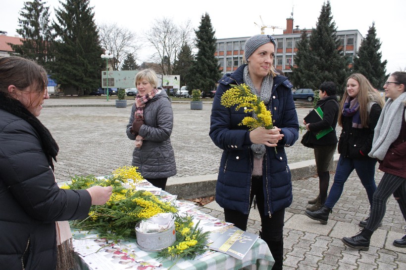 Dan mimoza, Đurđevac (21)